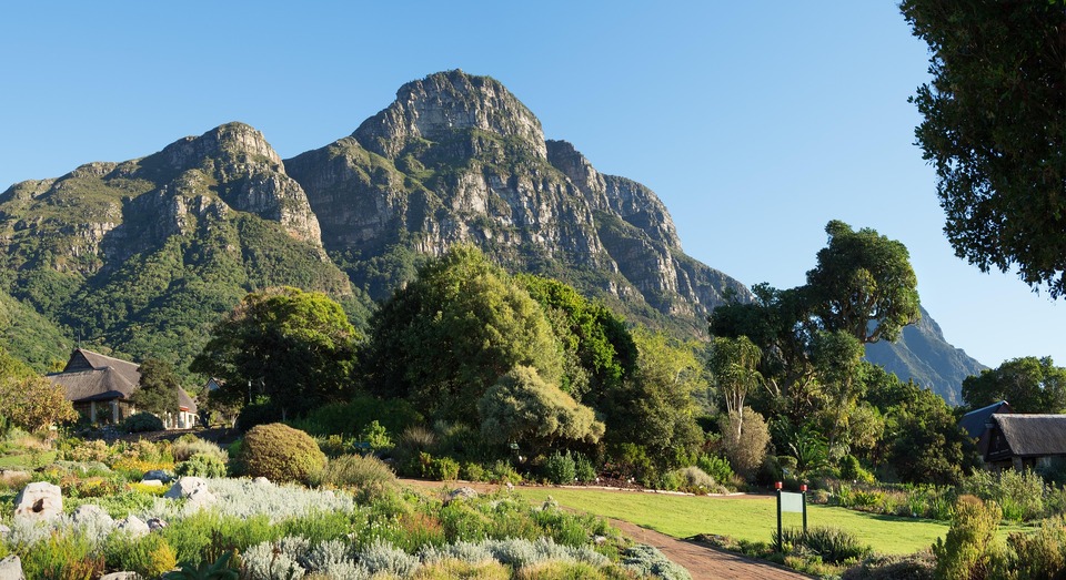 Kirstenbosch Botanical Gardens