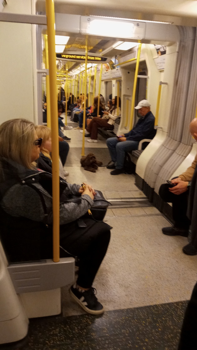 Overground train in London