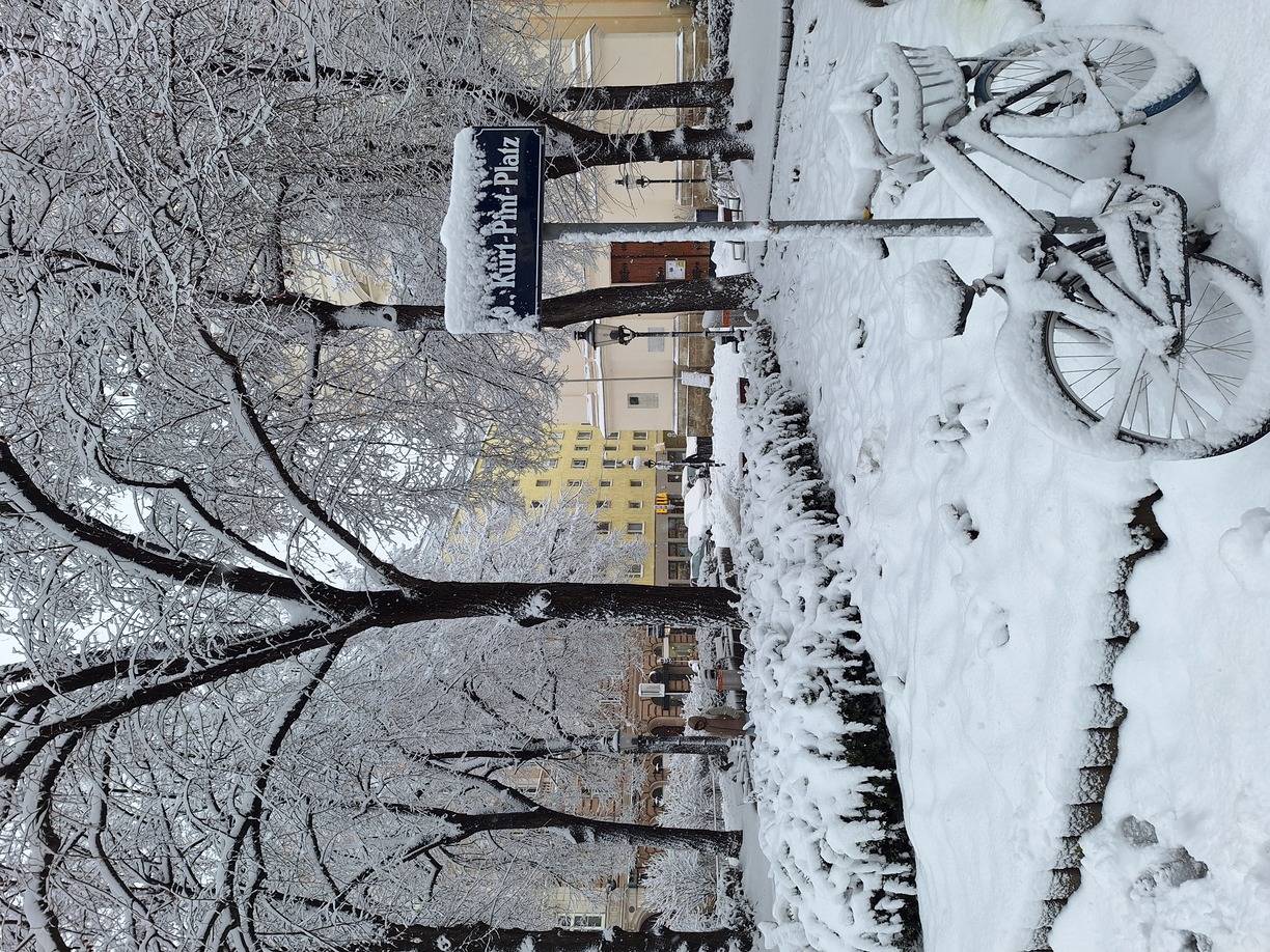 Vienna in Winter